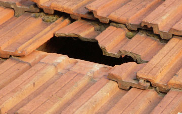 roof repair Trudoxhill, Somerset